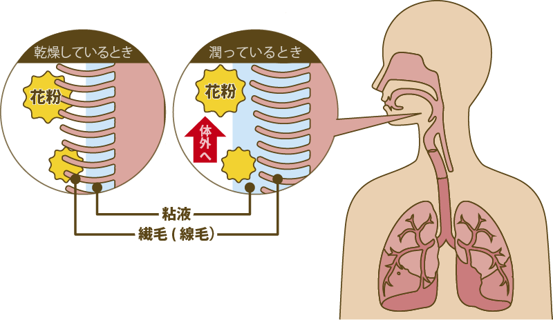 花粉症-空気清浄機-おすすめ-加湿機能1