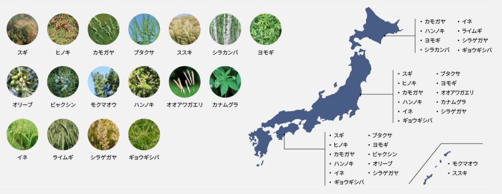 抑制できる花粉の種類